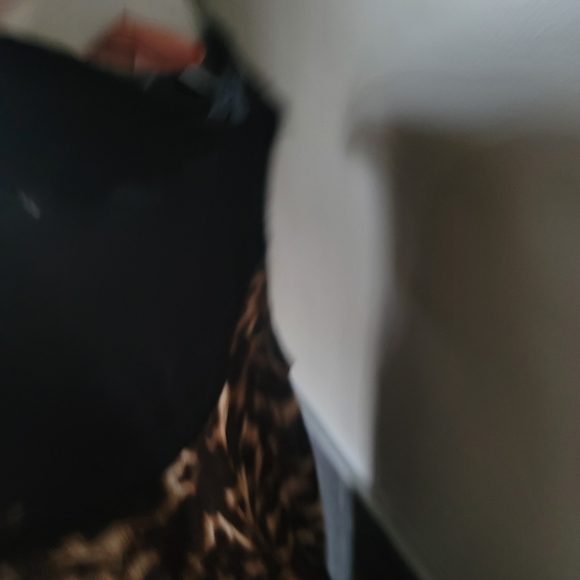 STREETWEAR Society Bittoned Leopard Dress Size Small - Picture 6 of 10